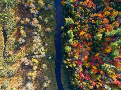 Autumn foliage from above, looking straight down on the Adirondacks